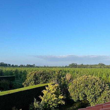 Jolie Maison De Vacances Avec Terrasse Et Jardin Сен-Жюльен-ан-Борн Экстерьер фото