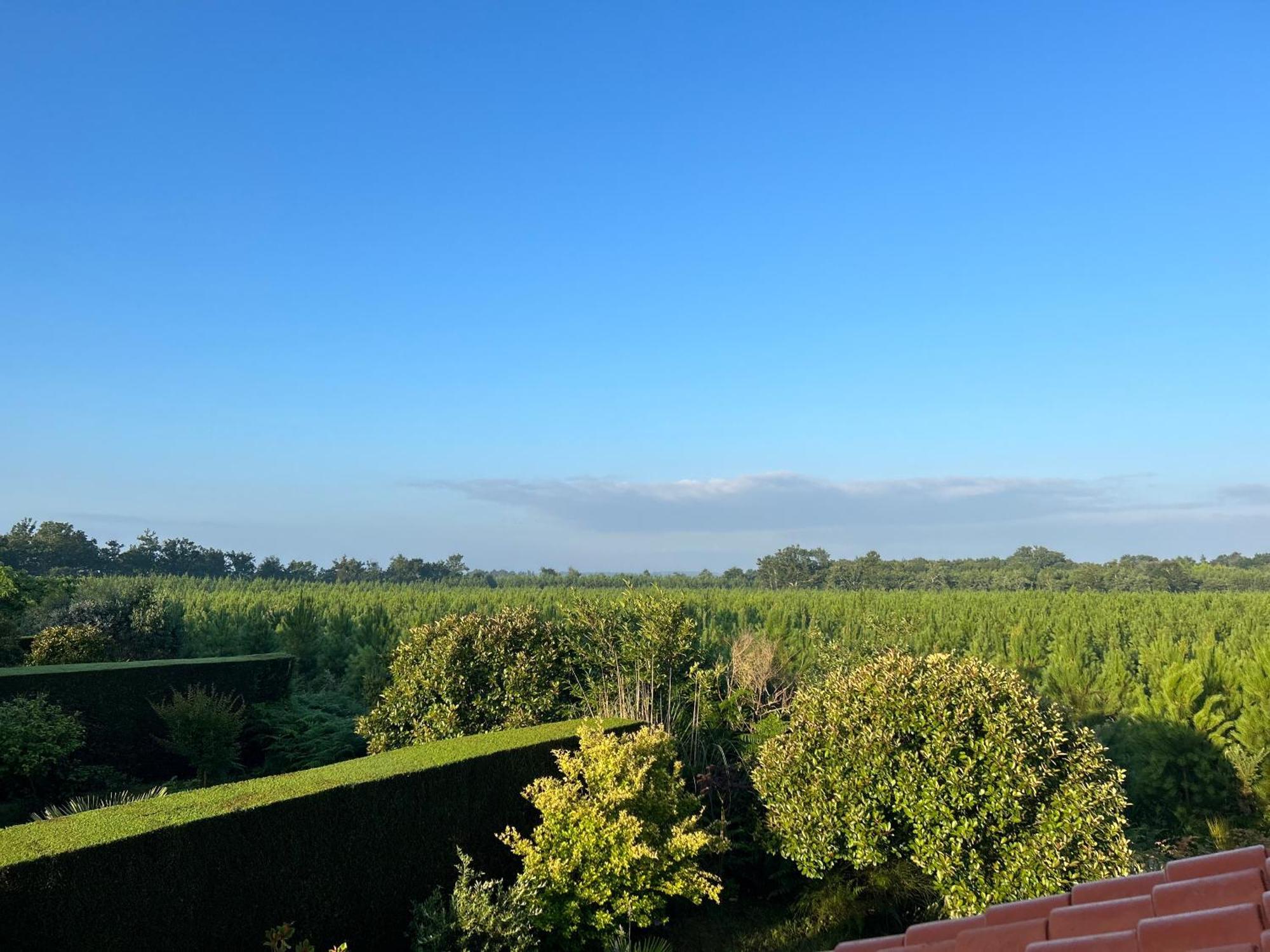 Jolie Maison De Vacances Avec Terrasse Et Jardin Сен-Жюльен-ан-Борн Экстерьер фото
